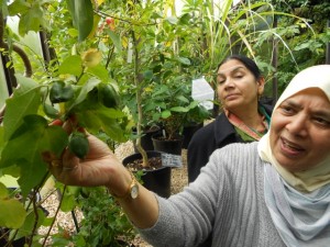 Women exploring nature