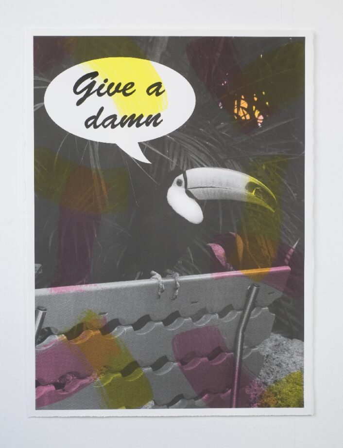 Ciara Phillips, Advice-giver, 2012