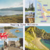 Nicky Bird, Raging Dyke Network (19 of 20), 2012