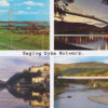 Nicky Bird, Raging Dyke Network (2 of 20), 2012