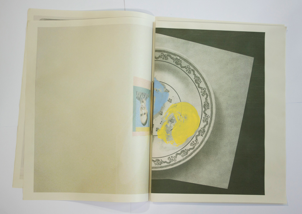 Sarah Wright, Horses, 2012 (interior example pages)