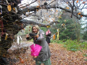 Country Tales, storytelling at the wishing tree