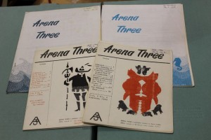 A sample from the Arena3 collection.