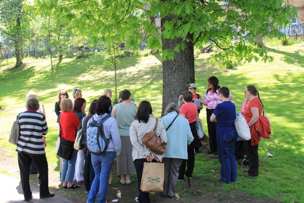 The Suffrage Oak