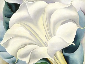 Georgia O'Keeffe, The White Trumpet Flower, 1932