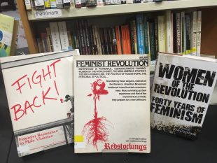 Feminist Revolutions by Redstockings