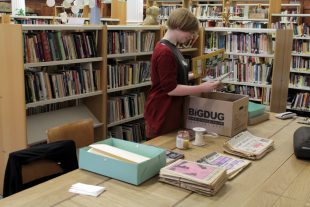 Volunteer Bel listing and rehousing material from LAIC