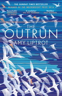 Book cover for The Outrun. It is blue and has white bird illustrations flocking all over the cover