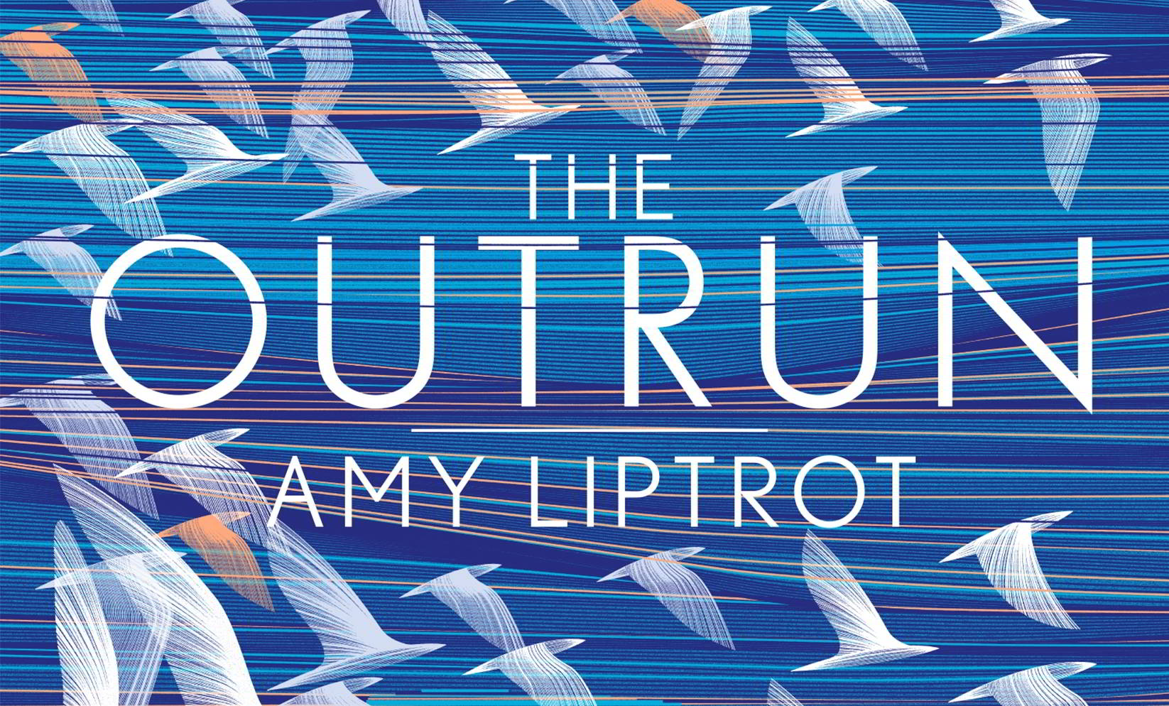 February’s Digital Book Group Read: The Outrun by Amy Liptrot