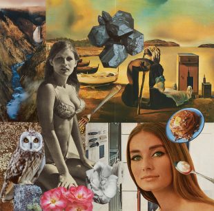 Complex collage image showing a women in a bikini, what might be surrealist artwork, an owl, some cutlery with food, some flowers and a river.