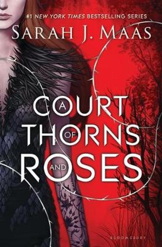 November’s Digital Book Group Read: A Court of Thorns and Roses by Sarah J. Maas