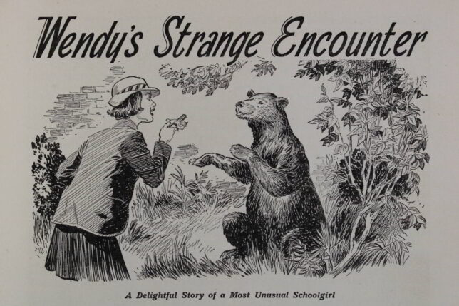 An illustration of a woman who has just come face to face with a bear. Above the illustration it says 'Wendy's Strange Encounter'