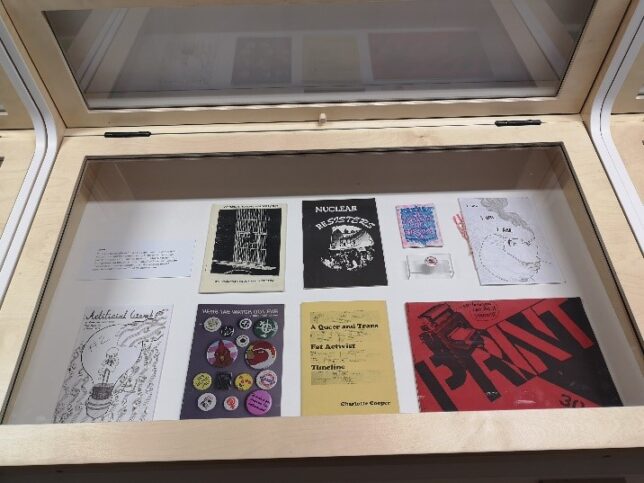 A display cabinet photographed from above, showing a selection of zines