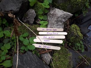 A poem reading 'in spring light, dug deep, she grew, roots, to flower' written on plant markers and placed on ground.