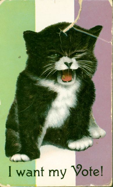 Postcard of a mewling kitten against a background of suffragette colours, captioned: "I want my Vote!"