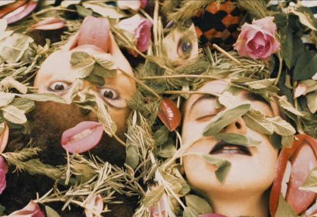 Two faces beneath strewn roses and leaves; one has their eyes closed, the other has open eyes and is sticking out their tongue