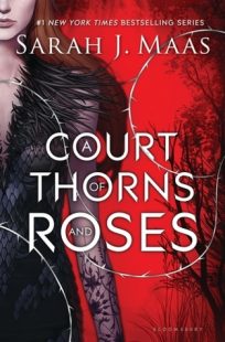 A book called A Court of Thorns and Roses