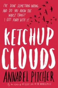 A book called Ketchup Clouds