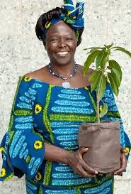 Colour pic of Wangari Maathai