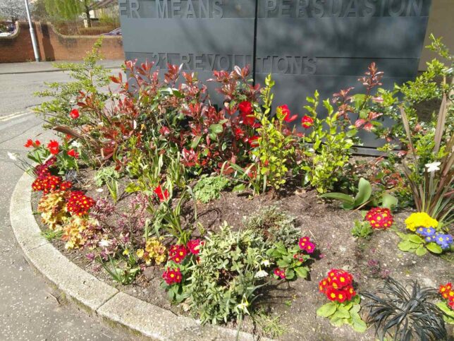 The library's garden in April 2020 blooming mainly in reds and yellows. With the black lift shaft (with book titles on it) in the background.