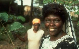 Young Wangari Maathai Open the Door 2020