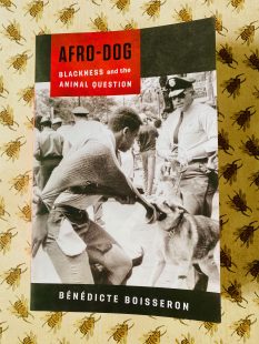 A book cover with a black and white image of a man playing tug with a dog