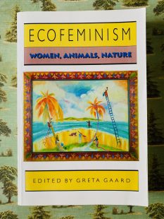 Book cover with an illustration of a tropical beach