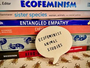 The spines of books with a cut out of a speech bubble that says, "Ecofeminist Animal Studies"