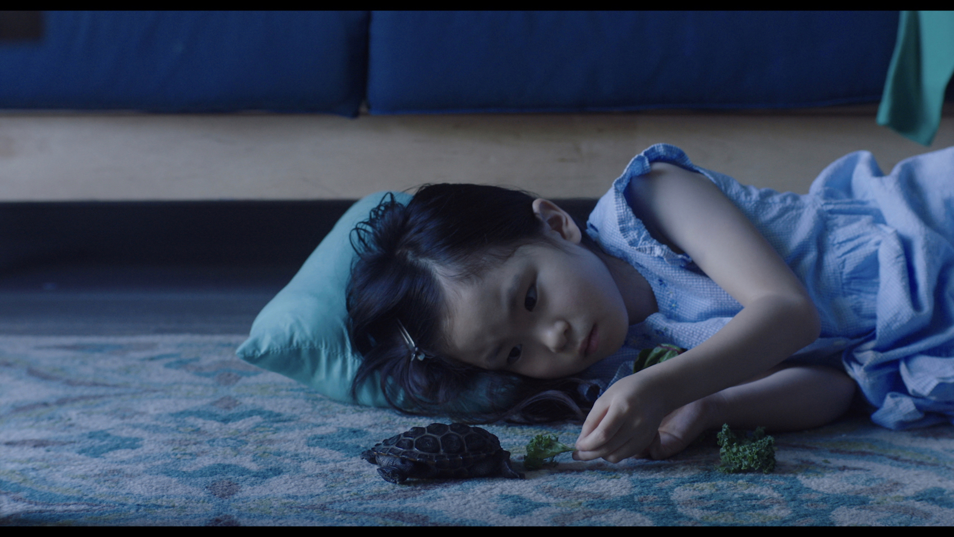 still taken from a film. A little girl lying on the floor in a dimly lit room, feeding a small tortoise some broccoli.