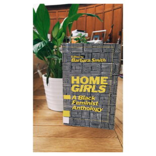 the book "Home Girls" sits on a table in front of a small peace lily which sits in a white plant pot