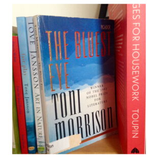 books sit side by side on a shelf, Toni Morrison's The Bluest Eye is the focal point