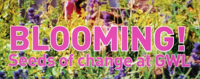 Detail of front cover of issue 29 of the GWL Newsletter, reading "Blooming! Seeds of change at GWL"