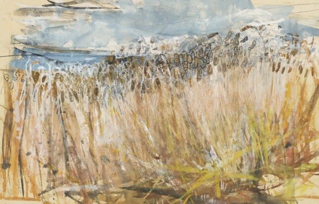 Joan Eardley painting of a cornfield with a blue sky and yellow and brown corn.