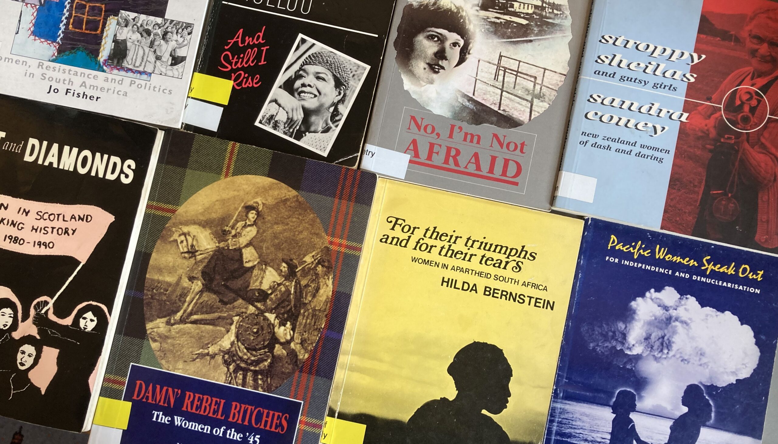 Selection of poetry and biography books about women writers, activists and campaigners.