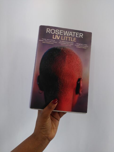 A hand holding up a copy of Rosewater by Liv Little