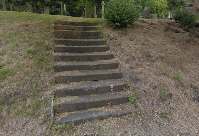 Photo of a flight of 11 old stone steps up a grassy verge.