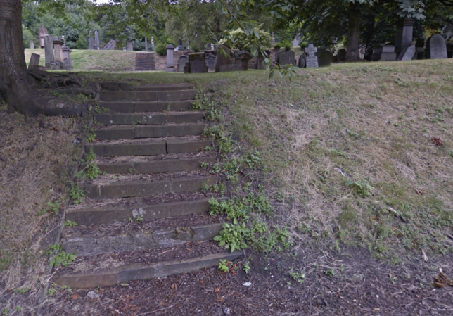 Photograph of a flight of steps under a tree. There are a dozen steps made of stone.