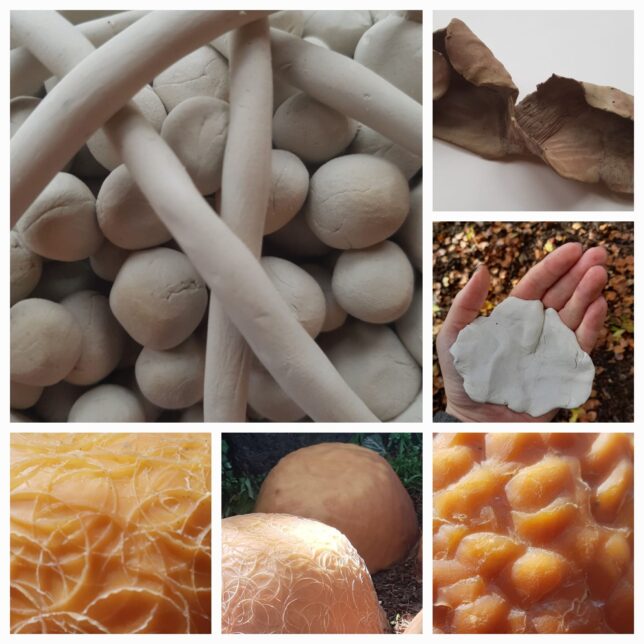 Photo collage showing various objects made from clay, inspired by natural materials