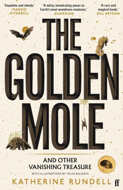 Cream book cover with illustrations of a bat, a seahorse, a spider and a mole. Text reads 'The Golden Mole and other Vanishing Treasure - Katherine Rundell - with illustrations by Talya Baldwin