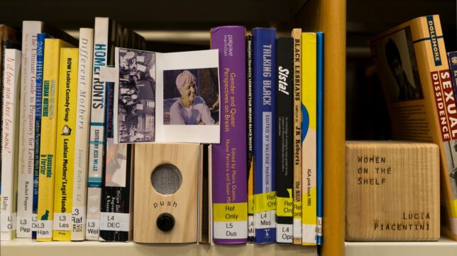 A small wooden speaker placed between books on the GWL shelves, alongside books about lesbian mothers and black lesbians