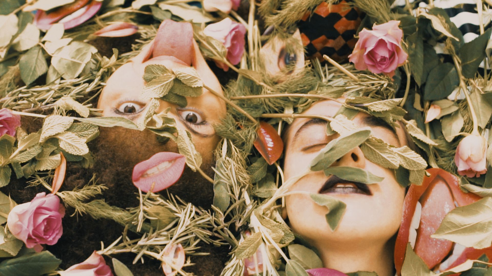 Two faces beneath strewn roses and leaves; one has their eyes closed, the other has open eyes and is sticking out their tongue