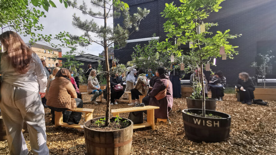 Visitors sitting and standing between the trees of the Peace Arbour