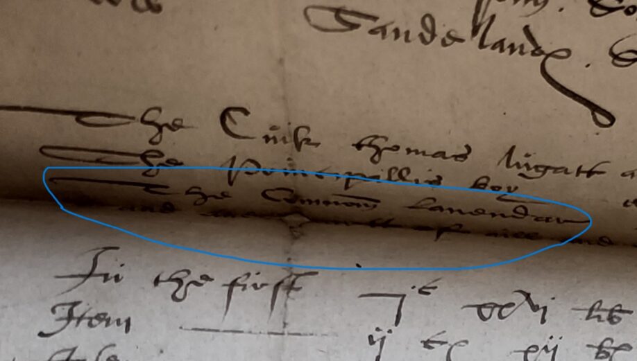 A part of a manuscript from the Balcarres Papers held by the NLS, 'the common lavendar [washerwoman]' is highlighted.