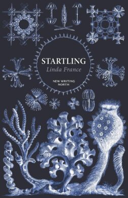 Book cover of Startling by Linda France